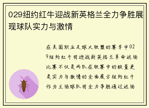 029纽约红牛迎战新英格兰全力争胜展现球队实力与激情