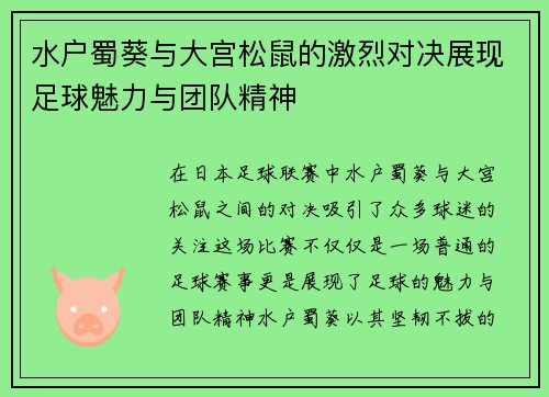 水户蜀葵与大宫松鼠的激烈对决展现足球魅力与团队精神