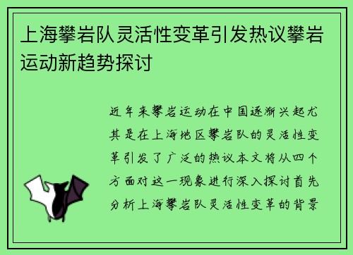 上海攀岩队灵活性变革引发热议攀岩运动新趋势探讨